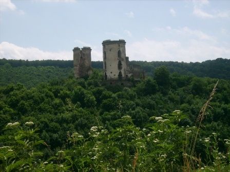 Чевоногородський замок