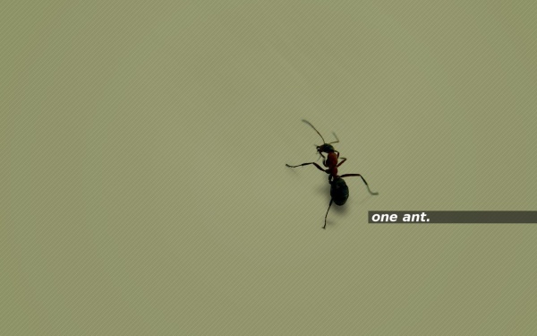 Одна мураха